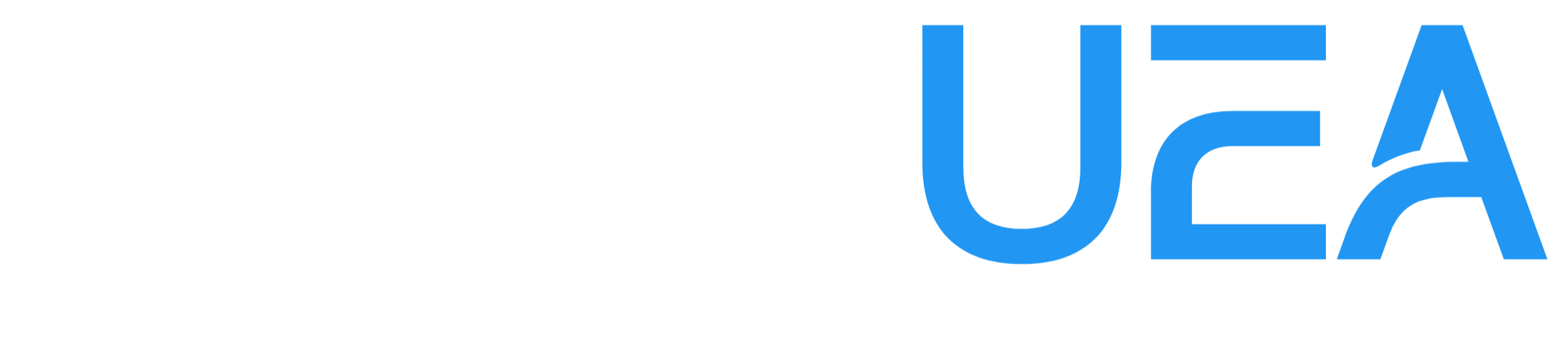 YDNBUEA Logo